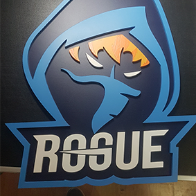 Rogue Sports 2